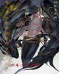 异世界的女装大佬