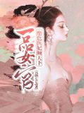 一品神医倾城 小说