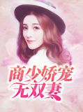 商少追妻108式全文免费