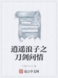 逍遥浪子之刀剑问情在线观看