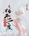 夫人梅开二度小说