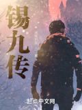 锡九传小说起点网