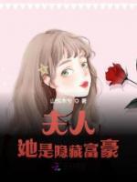 夫人她是有钱人