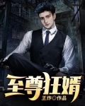 至尊狂婿漫画
