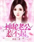 神秘老公惹不起百度网盘