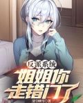 反派系统：姐姐你走错门了