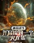冰岛求生游戏技巧