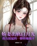 娇妻出轨之谜旧版本