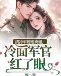 清冷军嫂要离婚,冷面军官红了眼 岑婧怡 顾延卿