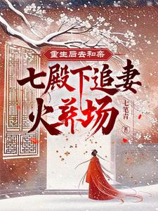 重生后回七王爷府小说